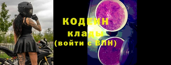 apvp Алзамай