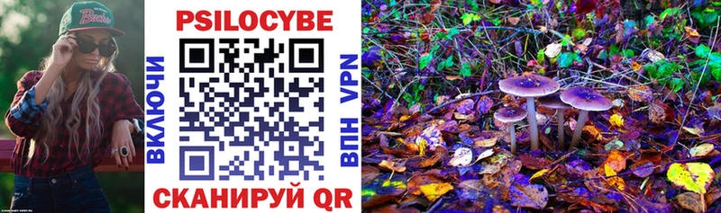 сколько стоит  Шумиха  Псилоцибиновые грибы Psilocybine cubensis 